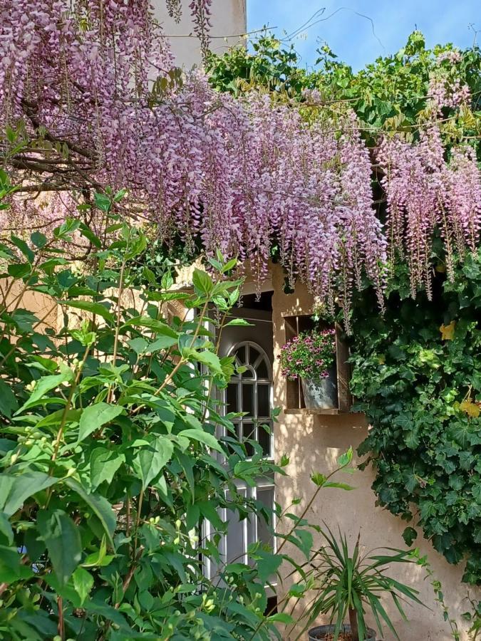 Suite Avec Jardin Entre Aix En Provence, Luberon Et Verdon Peyrolles-en-Provence Zewnętrze zdjęcie