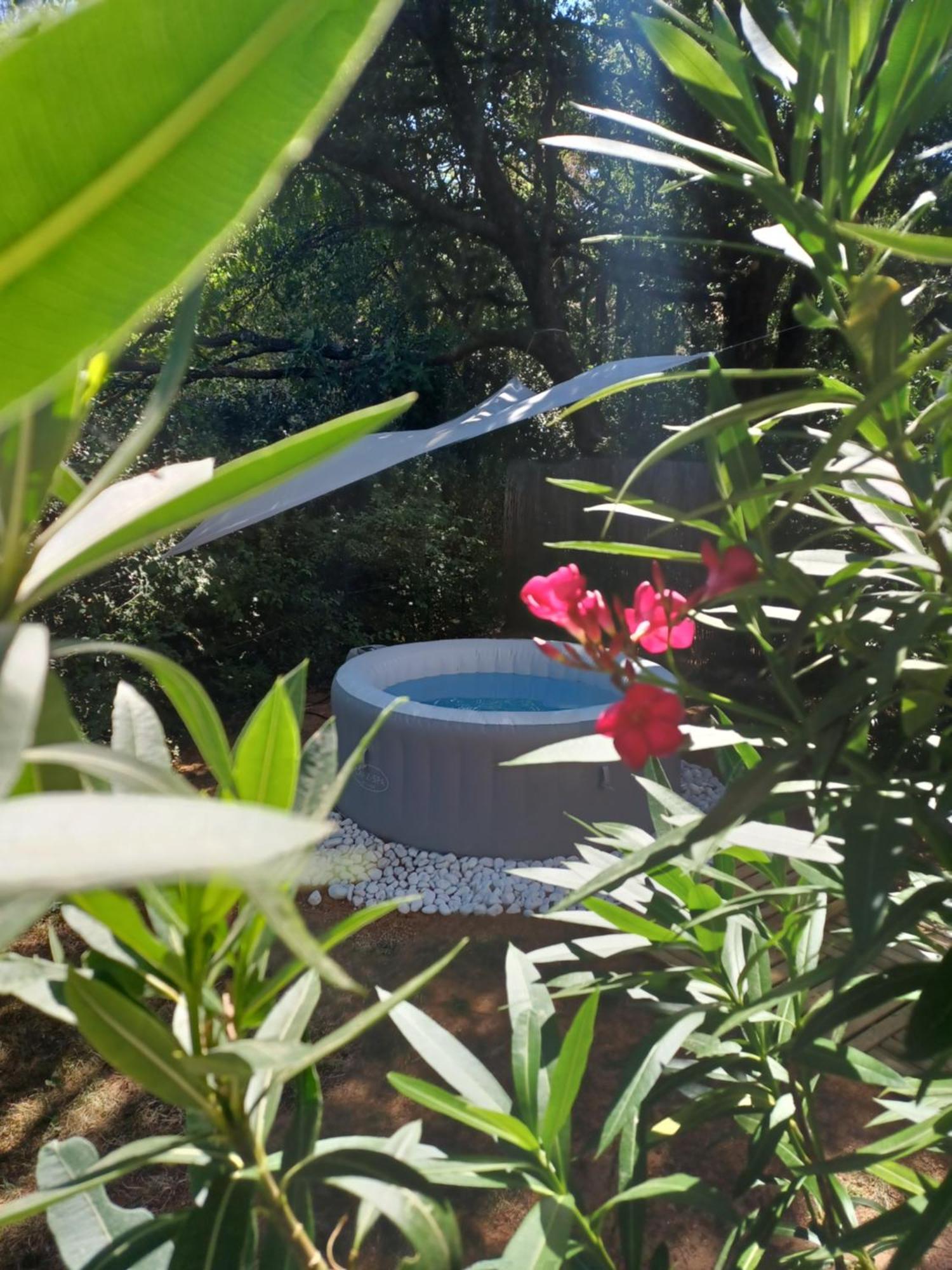 Suite Avec Jardin Entre Aix En Provence, Luberon Et Verdon Peyrolles-en-Provence Zewnętrze zdjęcie